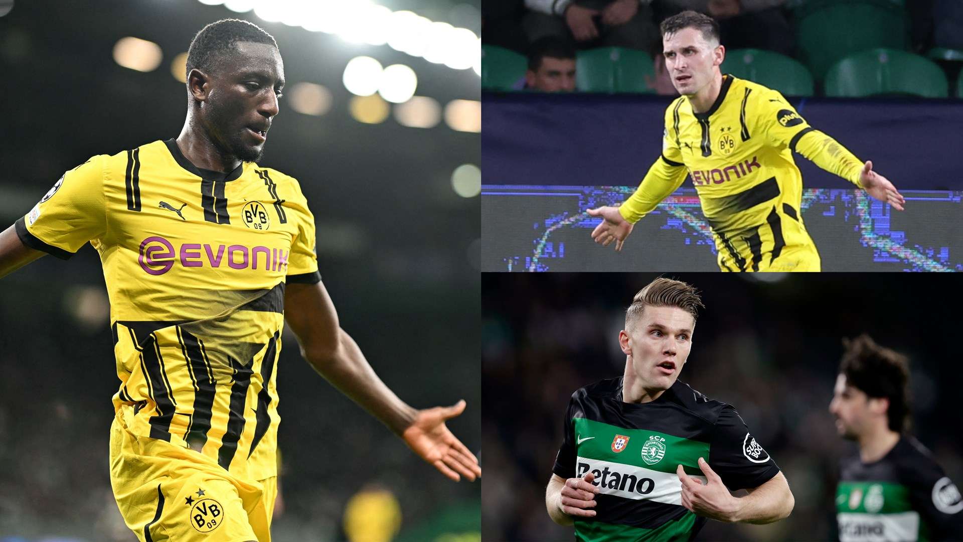 无数粉丝的 无数粉丝的